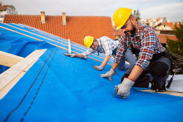Best Roof Gutter Cleaning  in Glenville, CT